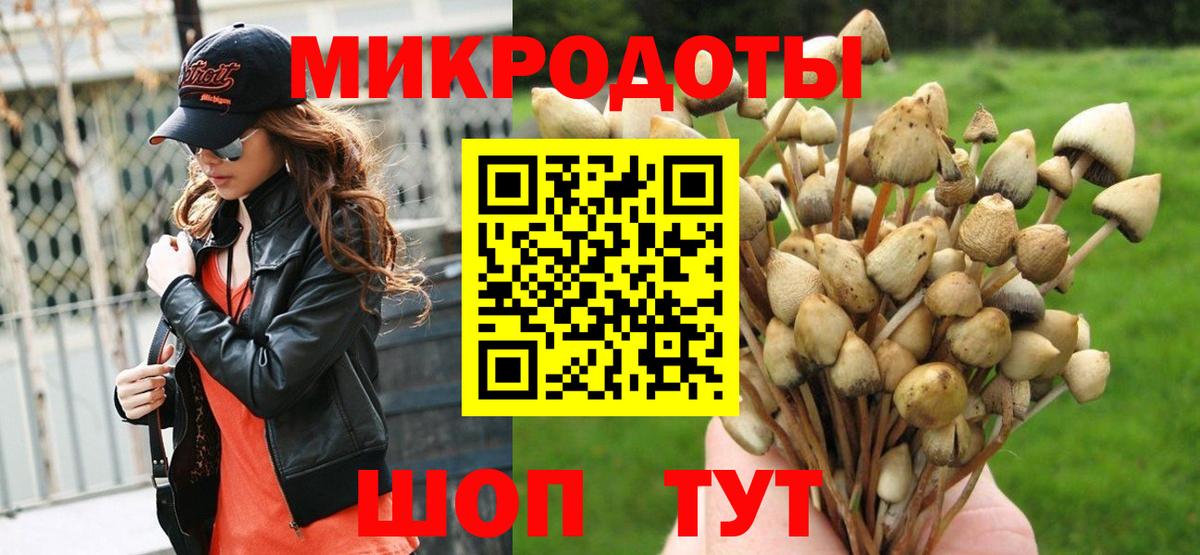 Галлюциногенные грибы GOLDEN TEACHER Чебоксары