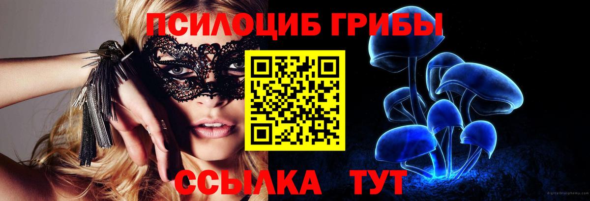 Чебоксары  что такое наркотик  Вход с VPN  Галлюциногенные грибы прущие грибы 